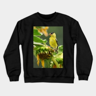 Goldfinch on sunflower Crewneck Sweatshirt